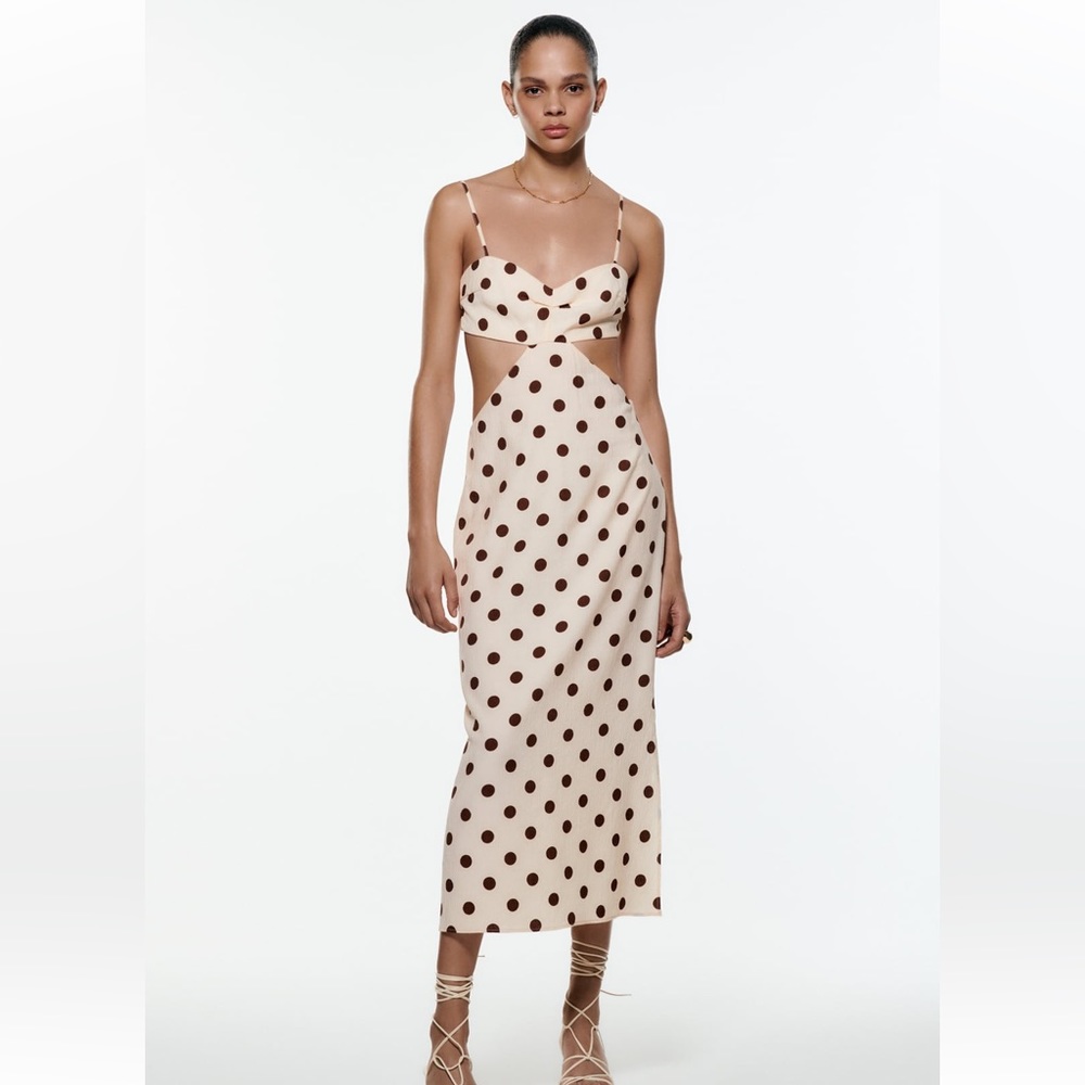 Zara Polka Dot Dress